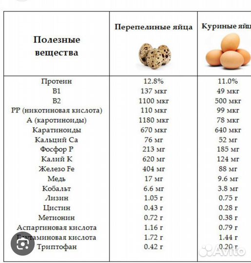 Перепела продажа