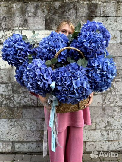 Гортензия синяя букет
