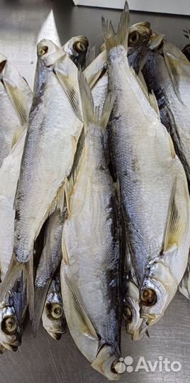 Астраханская вяленая рыбка