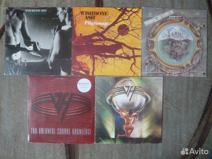 Виниловые пластинки Wishbone Ash Van Halen
