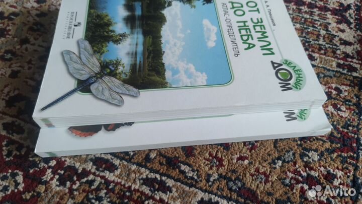 Плешаков зеленые страницы и от земли до неба