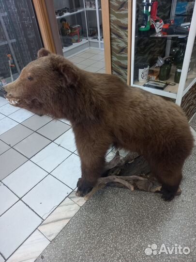 Чучело медведя имитация