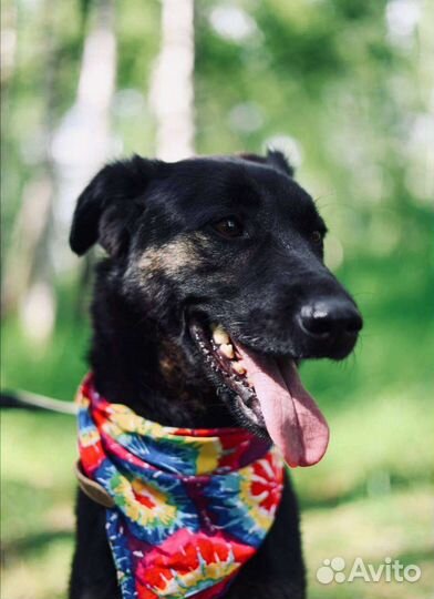 Гера ждёт своего Человека