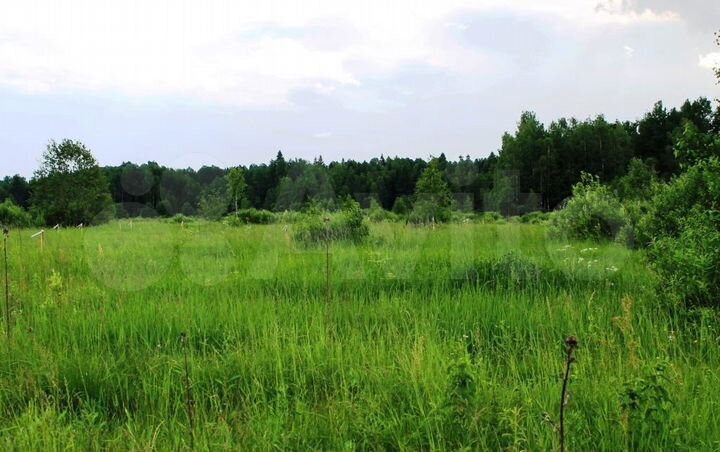 Участок 12 сот. (СНТ, ДНП)