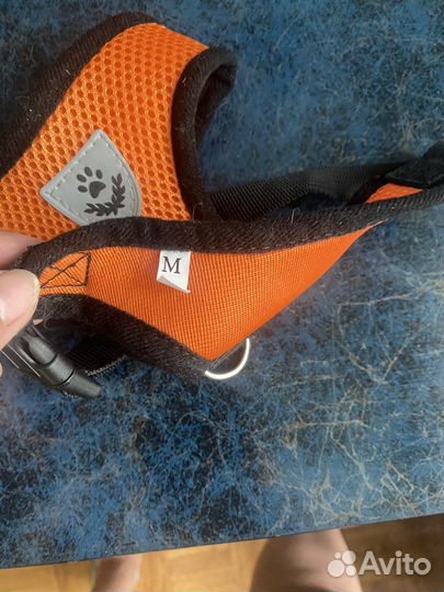 Шлейка для собаки