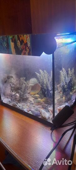 Аквариум с рыбками