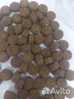 Корм для собак