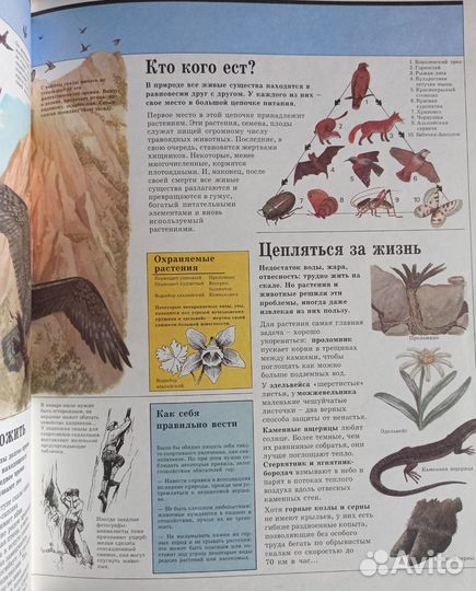 Атласы и Книга загадок