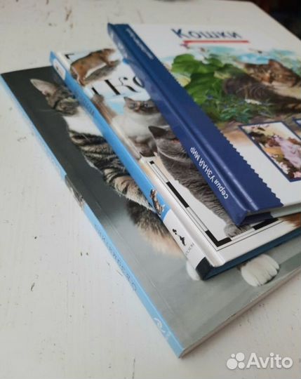 Книги о кошках
