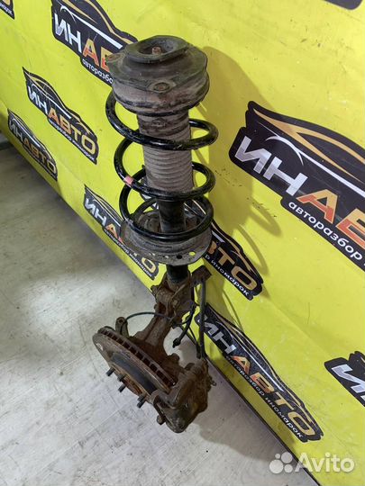 Кулак поворотный ниссан х треил т31