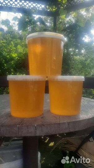 Мёд подсолнух 2023г