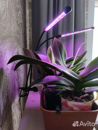 Лампа для растений