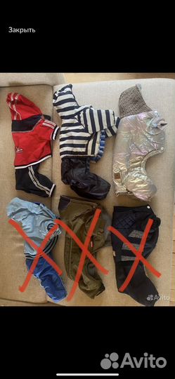 Одежда для маленьких собак