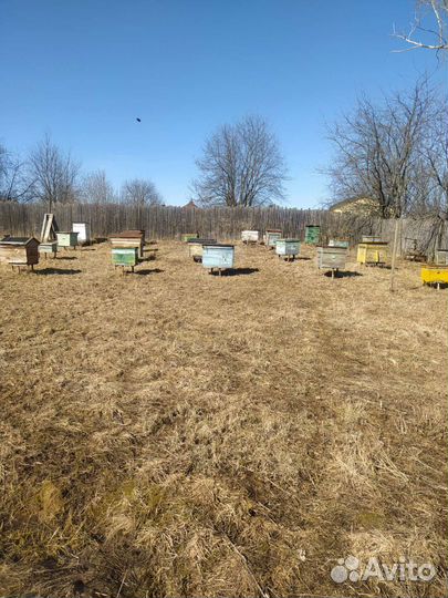 Ульи для пчел бу