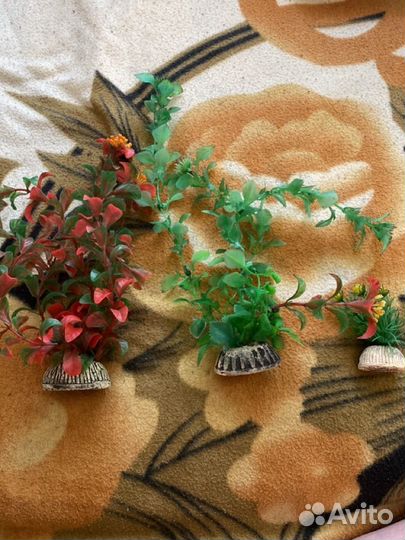 Принадлежности для аквариума