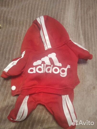 Комбинезон для собак