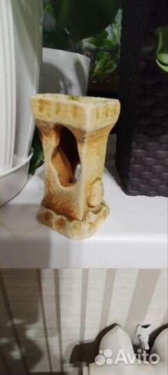 Декоративные камушки. Водоросли
