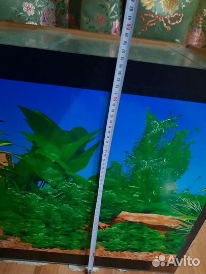 Аквариум