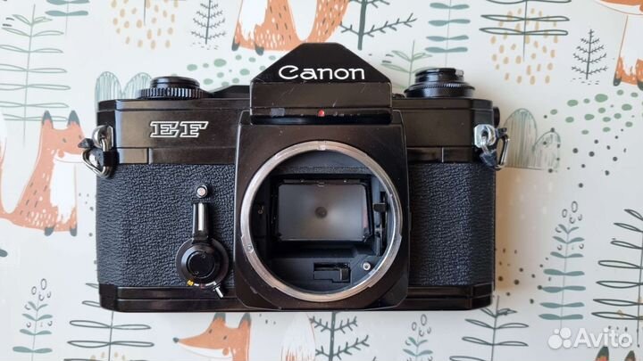 Фотоаппарат Canon EF 