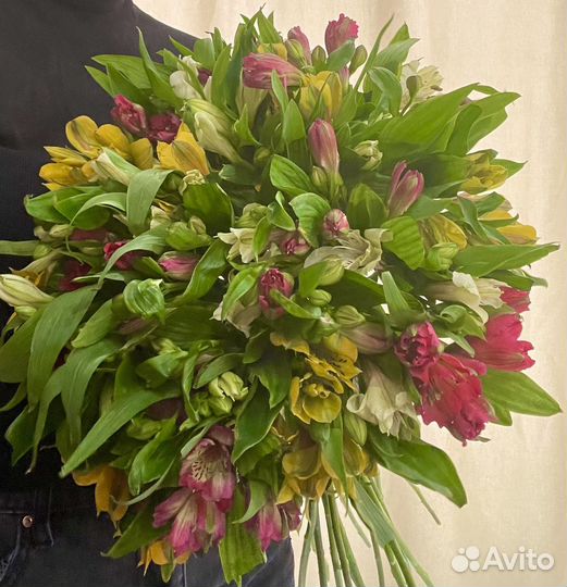 Альстромерия