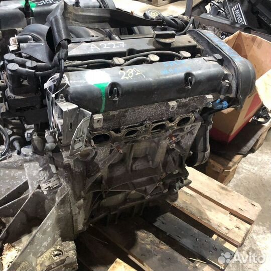 Двигатель hwda hwdb shda Ford Focus 2 1.6 Фокус