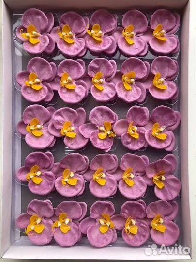 Орхидея мыльная