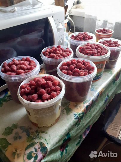 Малина садовая