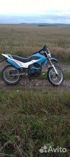 Irbis 250 кубов