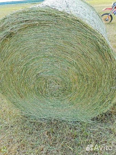 Луговое сено