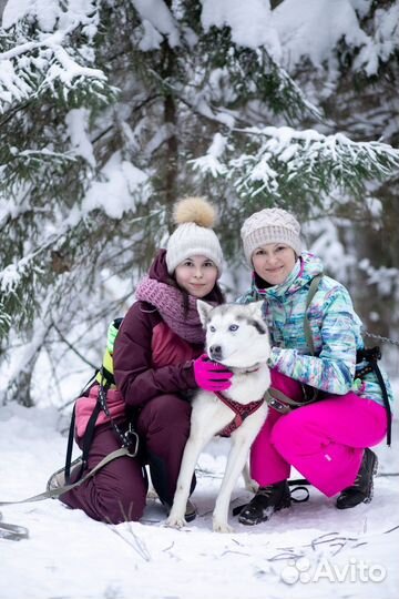 Автобусный Хаски-тур из Н.Новгорода