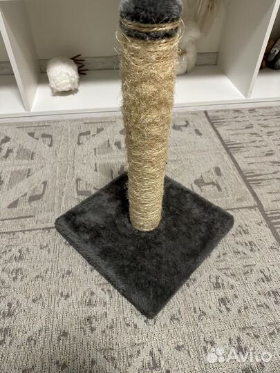 Когтеточка