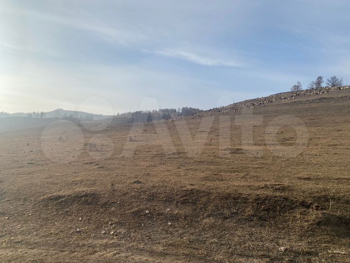 Участок 24 га (СНТ, ДНП)