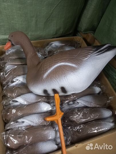 Надежный гусь для охотника (белолоб) Оптом