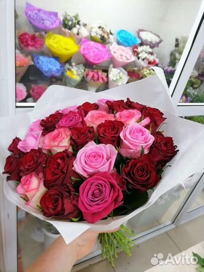 Роза Россия разные цвета