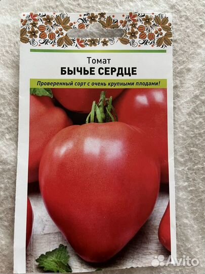Рассада томатов бычье сердце