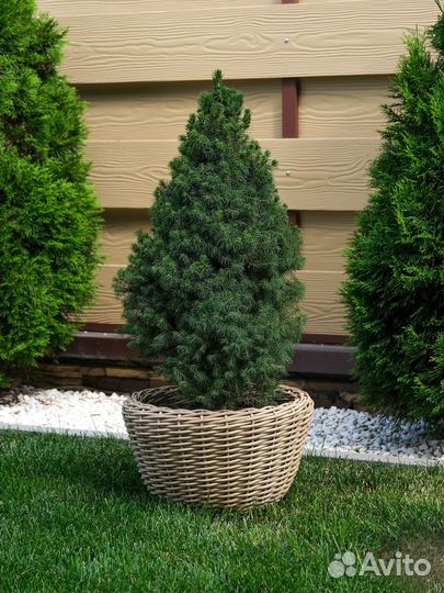 Кашпо из искусственного ротанга 14 литров