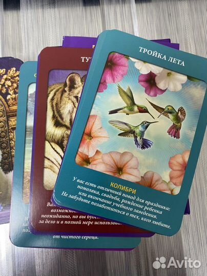 Таро животных