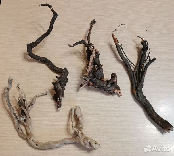 Коряги и камни