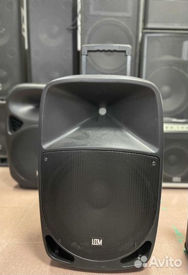 Акустическая система Leem PR-15HR