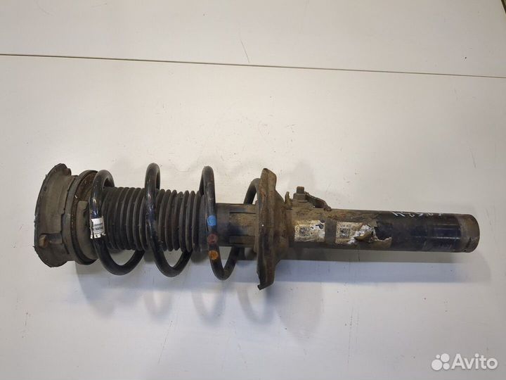 Амортизатор подвески Volkswagen Tiguan, 2017