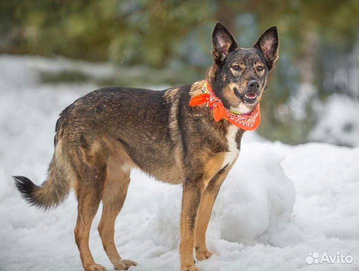 Василиса Прекрасная очень ждет свою семью