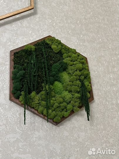 Панно из стабилизированного мха с эпоксидной