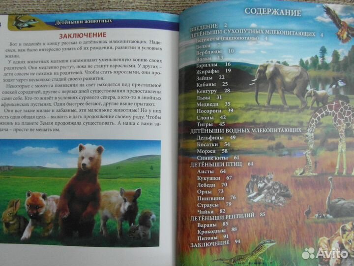 Энциклопедия 