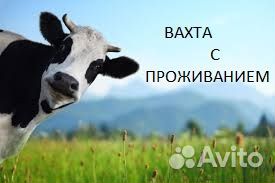 Дояр/доярка. Вахта с проживанием