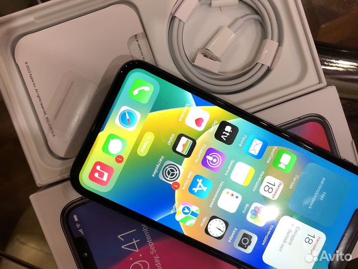 iPhone X, 256 ГБ
