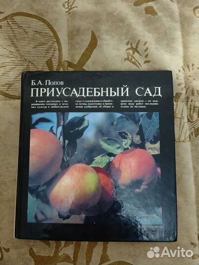 Книга Приусадебный сад. Б. А. Попов