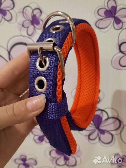 Амуницию для собак