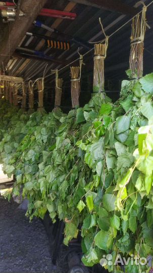 Березовые веники