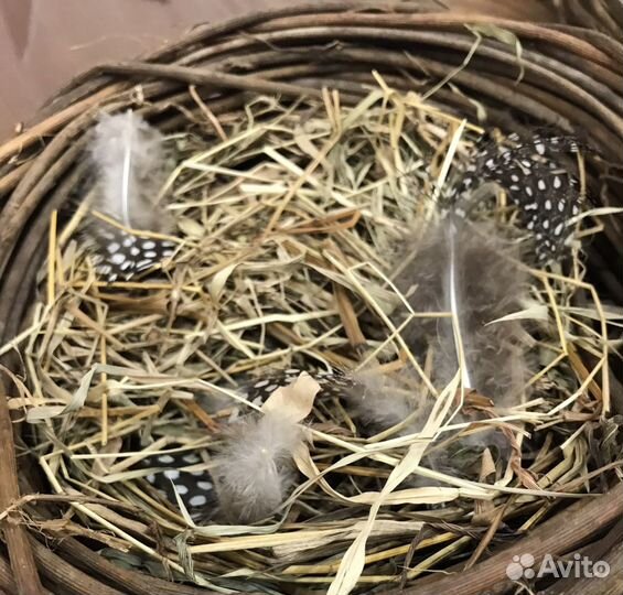 Гнездо материал для фотосессии пасхи поделки