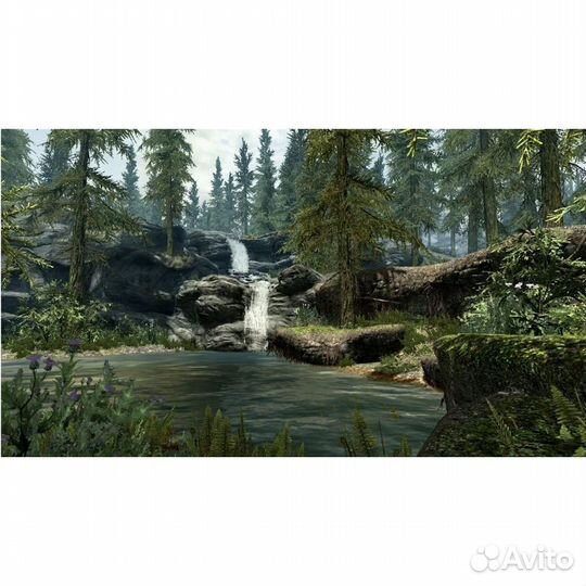 The Elder Scrolls V Skyrim витринный образец, англ